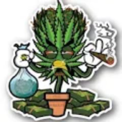 de_vola's profile picture. 😃