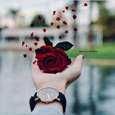 Rehan660880381's profile picture. King...