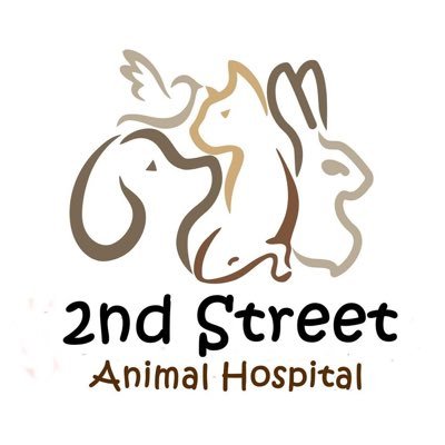 AAHA Accredited Veterinarian - Dogs, Cats, Exotics. 215-516-7000