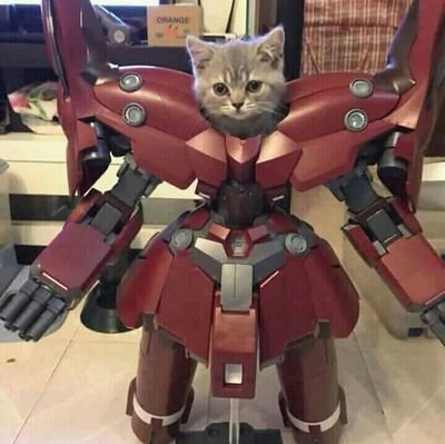 JerzusCruz's profile picture. Mema Twitter lang para sa Crypto