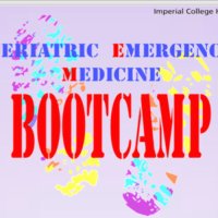 GEM Bootcamp(@GemBootcamp) 's Twitter Profile Photo