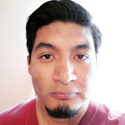Ingeniero en Telecomunicaciones y Electrónica, Radiofrecuencia, Sistemas y TV.