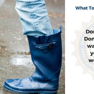 denbelzerian155's profile picture. india