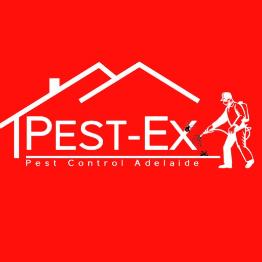 Pest Ex Adelaide Pestexadelaide Twitter