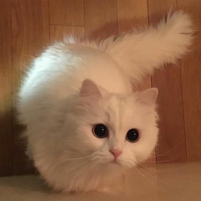 #followback#follow#взаимнаяподписка#читаешьтычитаюя#взаимно100%