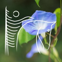 Windhorse Farm (@windhorsefarm) 's Twitter Profile