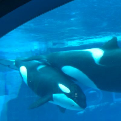 oBGQMv3UDVb30sw's profile picture. 