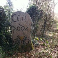 Cúil Aodha (@cuilaodha) 's Twitter Profile Photo Cúil Aodha (@cuilaodha) 's Twitter Profile Photo