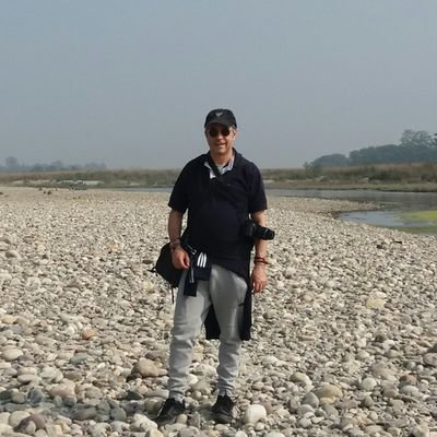 MauricioPerfett's profile picture. 