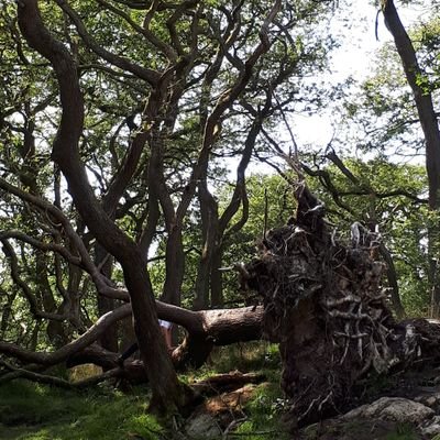 EESmith_16's profile picture. That person