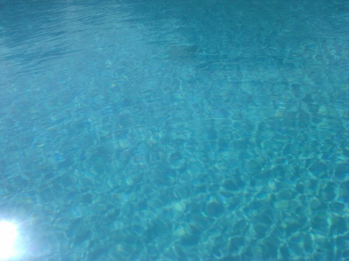 VicPoolService's profile picture. 