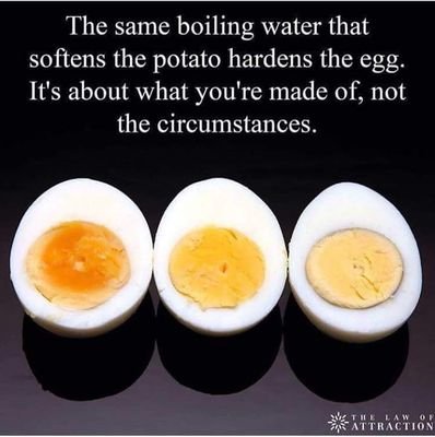 sheelzhaywood's profile picture. 1