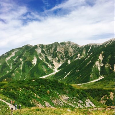 waterkogane's profile picture. 昆虫図鑑 🐜