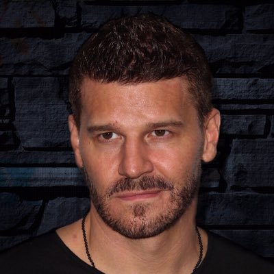 • This is the David Boreanaz fan page. • DAILY David Boreanaz posts! • Instagram: @DavidBoreanazFanPage • Bones ☠️ •Angel 🧛🏻‍♂️ •SEAL Team ⚓️