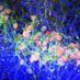 Kunath Lab (@kunathlab) Twitter profile photo Kunath Lab (@kunathlab) Twitter profile photo