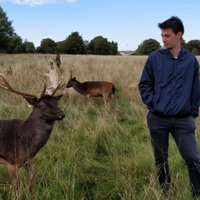 Marílio Meireles (@mariliomeireles) 's Twitter Profile