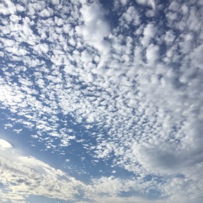 Book0TU's profile picture. 趣味垢/特撮/フロム脳/TRPG/SF小説/2次創作小説雑食/Arcadiaとにじふぁんは魂の故郷/SCPは恩人3部作とtaleたんぽぽが咲く頃に好き
無言フォロー失礼します