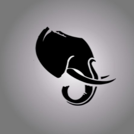 RHOTE_ORG's profile picture. RHOTE is a non-profit that promotes and enhances physical activity. Our Mission: Empower health and promote fitness.