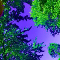 jun003 (@jun003) 's Twitter Profile Photo