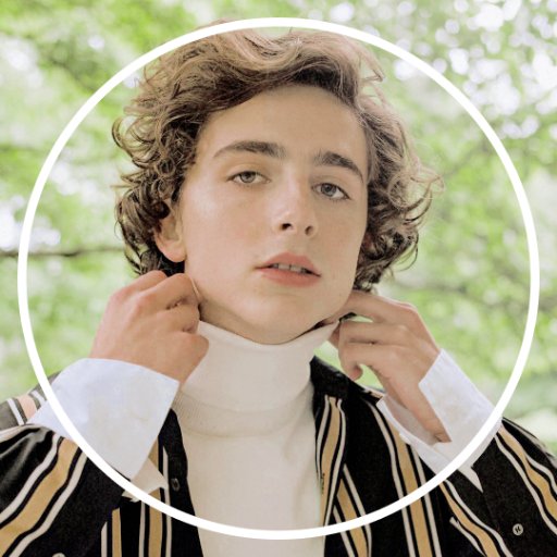 @RealChalamet fan content & updates 🌟 — contact: chalametdaily@gmail.com or tumblr /ask page!