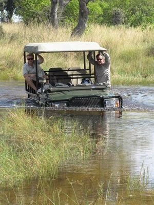 Safari guide in Botswana's wild untamed nature.