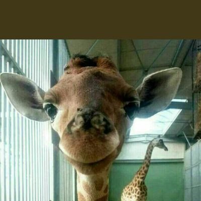 Ger176545's profile picture. Remember you only get one family so make the most of it!