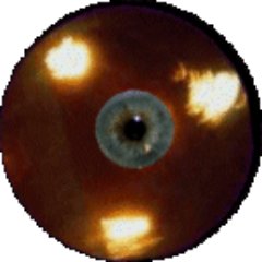 ZOOM Live Cams~Search for UFOs 🛸 https://t.co/53MWDPzpNi )-( 📺https://t.co/sj5lxGwmQB I've had many incredible #UFOsightings )-(

📽 https://t.co/UPDAvVZ44y
📸 https://t.co/zvg8f2oQMK 
🌎 https://t.co/ssYlOiiKZZ