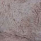 lancapjantan's profile picture. 