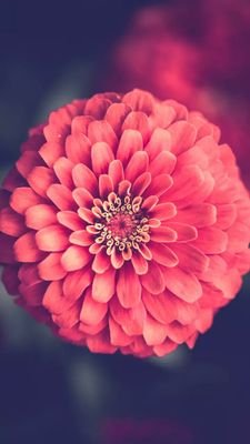 NihalSi34553440's profile picture. Gurgaon