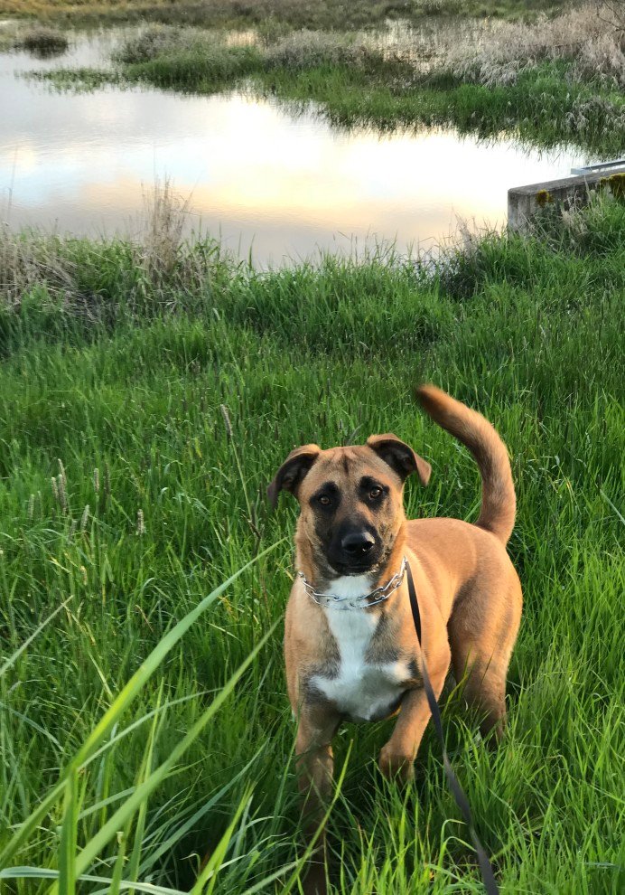 damagedsnowflak's profile picture. Just the like name says.. I tweet about Ducks and MAGA. Long live Uncle Phil and the Constitution.