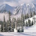 San Yoon - @oonndine2 - Twitter