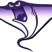 MANTA SWIM CLUB (@mantaswimming) 's Twitter Profile