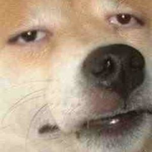 fetterCarsten's profile picture. Jeder das seine