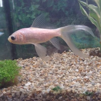 arin347's profile picture. 