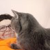 George Ann Gash (@g81793396) Twitter profile photo George Ann Gash (@g81793396) Twitter profile photo