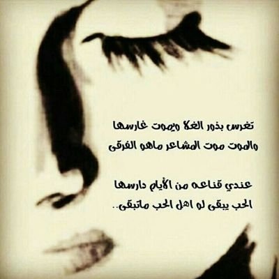 72_shoog's profile picture. 