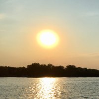 Ivy742 (@ivy742) 's Twitter Profile Photo