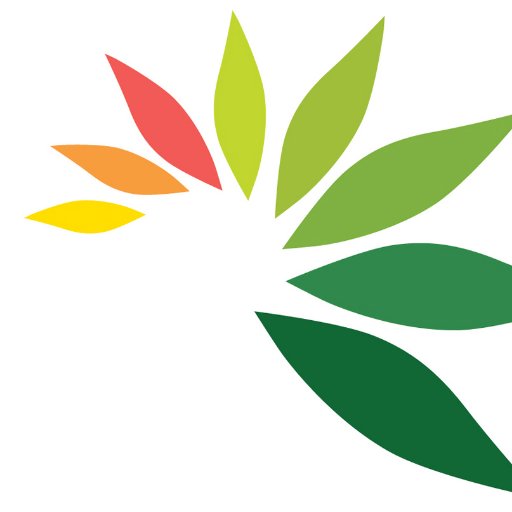 Cambrai Primary School Profile