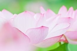 aiaiai73363548's profile picture. 専門職。隙間時間に編み物で日々サバイバル。編み物、その他諸々雑多な独り言多め。RTも多め。今は棒針ブーム中。好きなものは、毛糸、本、仏像、写真、ひたすら続くメリヤス砂漠。
素敵なツイートをお見かけしたら、無言フォローお許し下さい。編み物は万年初心者です。
#ハンドメイド好き　 #編み物好きさんと繋がりたい