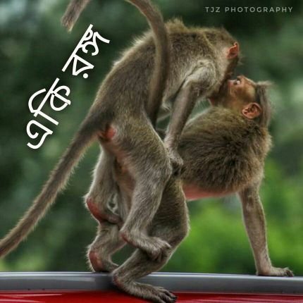 rakesh48532083's profile picture. 