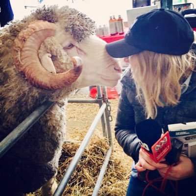 freckle collector | bookworm | tumbleweed
📻 @abcperth DRIVE producer | ✉️ bell.lucie@abc.net.au
stints in: 🏴🇩🇪🇫🇷