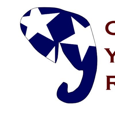 Official Crockett County Young Republicans