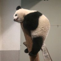 だ～はら@photo📸🦔 (@photo66842112) 's Twitter Profile Photo