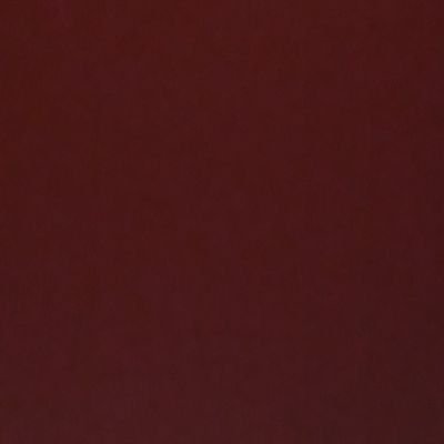 sneakerbot__'s profile picture. 