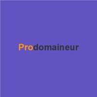 Prodomaineur(@prodomaineur) 's Twitter Profile Photo