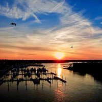 Shark River Beach & Yacht Club (@sharkriverbyc) 's Twitter Profile