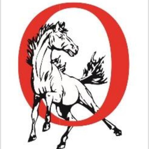 ODMSMustangs Profile Picture