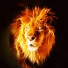 Asc_ADP's profile picture. ➡️Assistant sur Funcraft 
➡️Supporter du Nîmes Olympique
➡️Chef Général de l' @funcraft_af