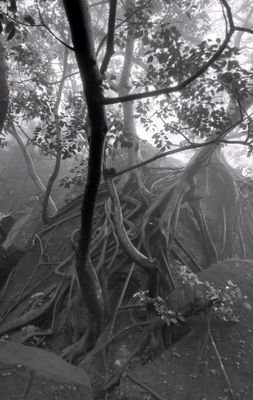 breakout_1989's profile picture. 