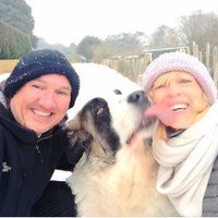 TheGlobalPetSitters (@jandjtravelling) 's Twitter Profile